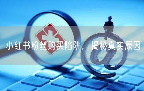 小红书粉丝购买陷阱，揭秘真实原因