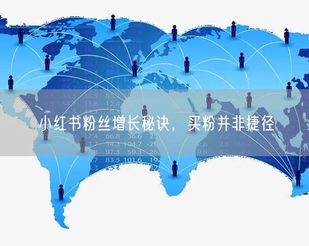 小红书粉丝增长秘诀，买粉并非捷径