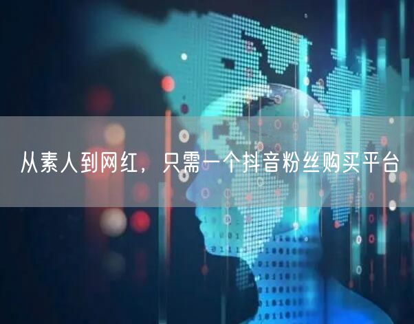 从素人到网红，只需一个抖音粉丝购买平台