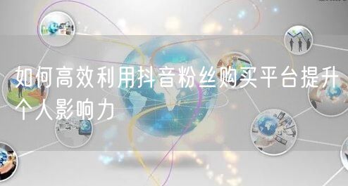 如何高效利用抖音粉丝购买平台提升个人影响力