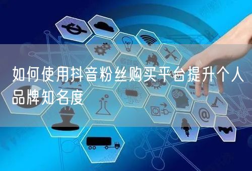 如何使用抖音粉丝购买平台提升个人品牌知名度