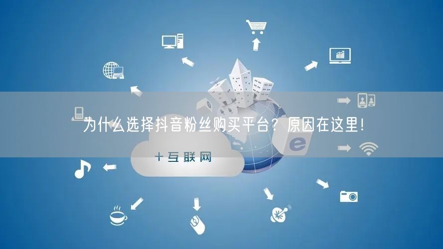 为什么选择抖音粉丝购买平台？原因在这里！